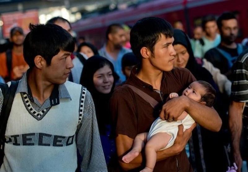 موج تازه مهاجرت به اروپا؛ شمار پناهجویان افغان بیش از پناهجویان سوری