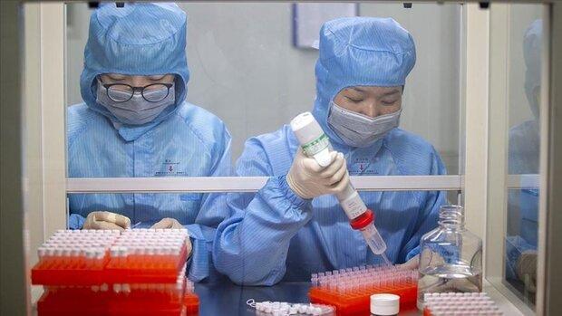 احتمال عرضه جهانی واکسن های کرونای چین برای استفاده اضطراری