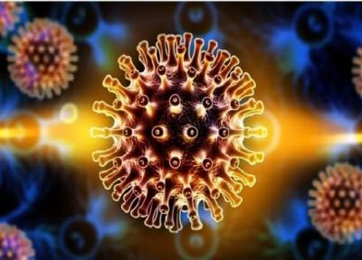 دولت بایدن تحقیق درباره منشا ویروس کرونا را متوقف کرد