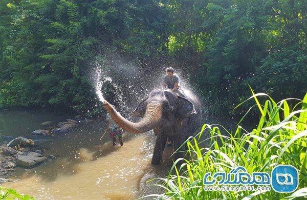 از یتیم خانه فیل ها تا دندان بودا ، سفرنامه سریلانکا (قسمت پنجم) (تور سریلانکا ارزان)
