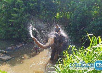 از یتیم خانه فیل ها تا دندان بودا ، سفرنامه سریلانکا (قسمت پنجم) (تور سریلانکا ارزان)