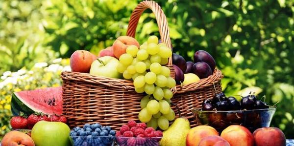 کدام میوه ها ارزان شدند؟ ، تغییرات یک ماهه قیمت ها را ببینید